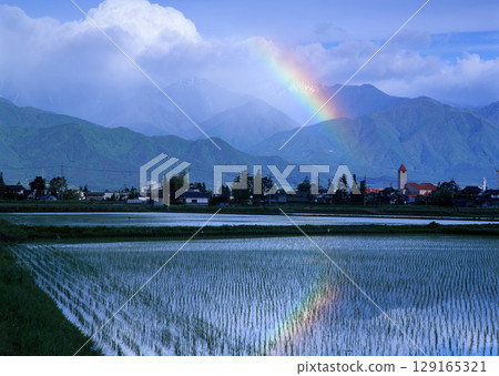 Field with green view. open space, outdoor. High quality photo Field with green view. open space, outdoor. High quality photo 129165321