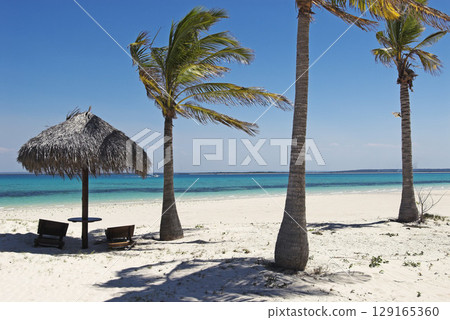 Beach at Matemo Island, Quirimbas islands, Mozambique, Africa Beach at Matemo Island, Quirimbas islands, Mozambique, Africa 129165360