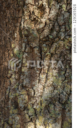 Natural Texture: Crust Roughness 129165928