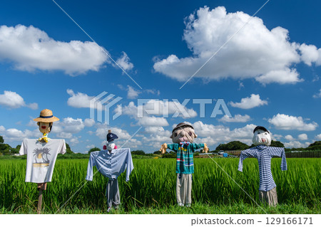 Blue Sky and Scarecrow Blue Sky and Scarecrow 129166171