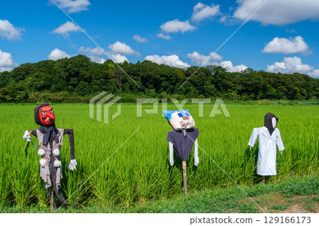 Scarecrow of rice field Scarecrow of rice field 129166173