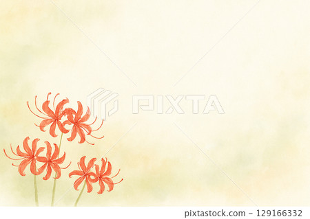 Autumn watercolor background with red spider lilies and margin 129166332