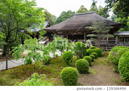 土佐國分寺的正殿和太子堂 129166404