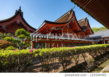 Isa Namba Shrine神社 129166485