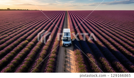 Aerial View Of White Van Driving Through Purple Lavender Field Rows At Sunset 129166865