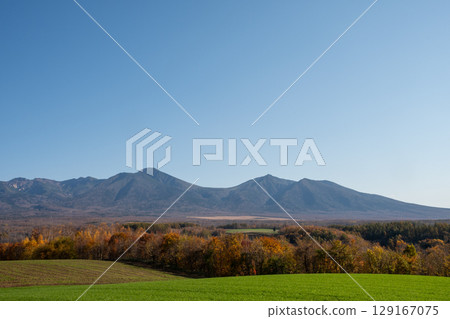 Yellow leaves of trees and mountains on a sunny day 129167075