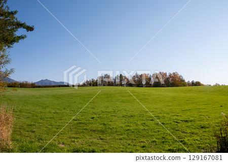 Autumn grass field and blue sky 129167081