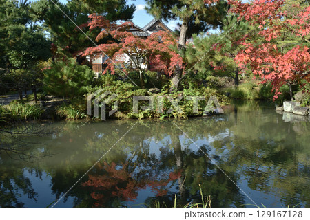 Autumn at Toji-in Temple: Shinji Pond and maple trees (Kita Ward, Kyoto City) 129167128