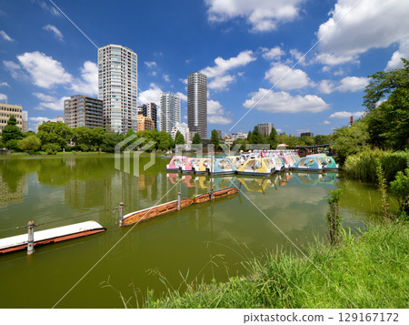 Ueno Shinobazu Pond, Tokyo 129167172
