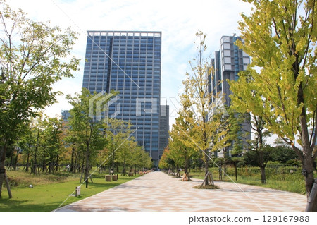 Scenery of Minato City Shibaura Central Park 129167988