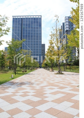 港區芝浦中央公園的風景 129167989
