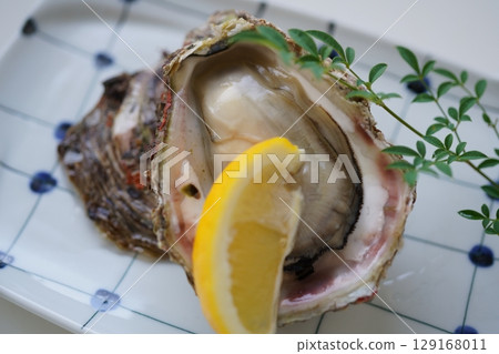 Natural rock oysters Natural rock oysters 129168011
