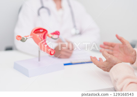 Woman patient consulting doctor with anatomy Uterus and Ovaries. Ovarian and Cervical cancer, Cervix disorder, Endometriosis, Hysterectomy, Uterine fibroids, Reproductive system and Pregnancy concept 129168543