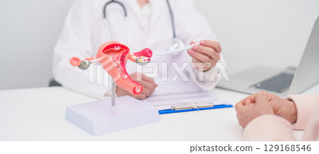 Woman patient consulting doctor with anatomy Uterus and Ovaries. Ovarian and Cervical cancer, Cervix disorder, Endometriosis, Hysterectomy, Uterine fibroids, Reproductive system and Pregnancy concept 129168546