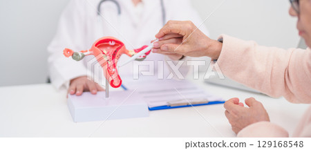 Woman patient consulting doctor with anatomy Uterus and Ovaries. Ovarian and Cervical cancer, Cervix disorder, Endometriosis, Hysterectomy, Uterine fibroids, Reproductive system and Pregnancy concept Woman patient consulting doctor with anatomy Uterus and Ovaries. Ovarian and Cervical cancer, Cervix disorder, Endometriosis, Hysterectomy, Uterine fibroids, Reproductive system and Pregnancy concept 129168548