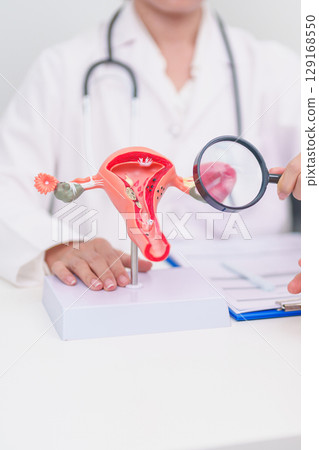 Woman patient consulting doctor with anatomy Uterus and Ovaries. Ovarian and Cervical cancer, Cervix disorder, Endometriosis, Hysterectomy, Uterine fibroids, Reproductive system and Pregnancy concept Woman patient consulting doctor with anatomy Uterus and Ovaries. Ovarian and Cervical cancer, Cervix disorder, Endometriosis, Hysterectomy, Uterine fibroids, Reproductive system and Pregnancy concept 129168550