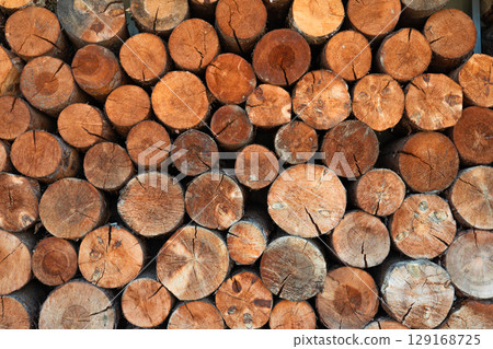 Closeup of logs of trees in nature. a lot of cutted logs. Closeup of logs of trees in nature. a lot of cutted logs. 129168725