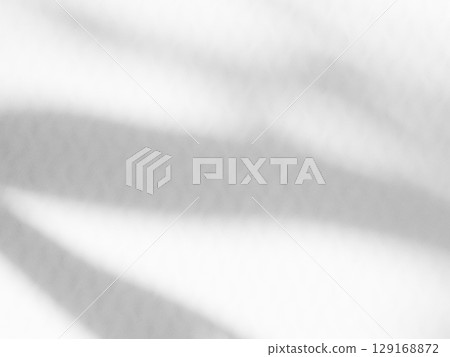 Shadow Background Abstract Leave Overlay Wall Floor Light Effect White Plant Sunlight Backdrop Mockup Minimal Spring Summer Nature Grey blur Photography Scene Template Poster Card Frame Product. Shadow Background Abstract Leave Overlay Wall Floor Light Effect White Plant Sunlight Backdrop Mockup Minimal Spring Summer Nature Grey blur Photography Scene Template Poster Card Frame Product. 129168872