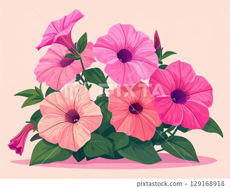 Petunia flower simple illustration 129168918