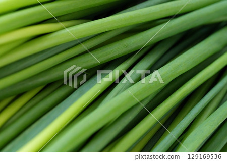 Flavorful Green Onions - Vibrant Green (Hiroshima Prefecture) Flavorful Green Onions - Vibrant Green (Hiroshima Prefecture) 129169536
