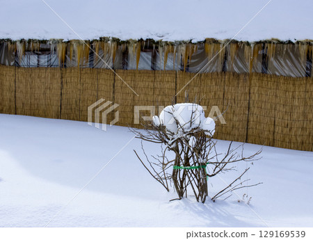 覆蓋著白雪的灌木和茅草屋頂的風景 覆蓋著白雪的灌木和茅草屋頂的風景 129169539