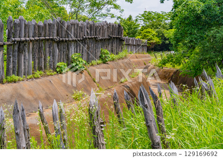 [Saga Prefecture] Yoshinogari Ruins: Sakamogi (backwood) near the east entrance 129169692