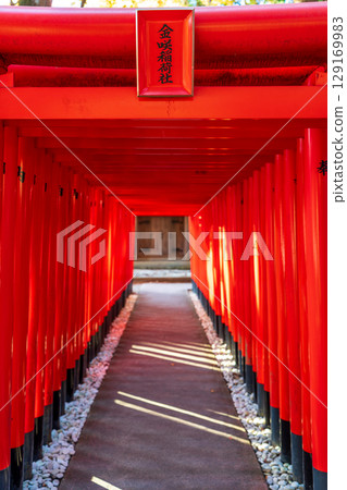 金崎稻荷神社是多賀大社的分社,擁有一排排紅色的鳥居。日本滋賀郡多賀町 金崎稻荷神社是多賀大社的分社,擁有一排排紅色的鳥居。日本滋賀郡多賀町 129169983