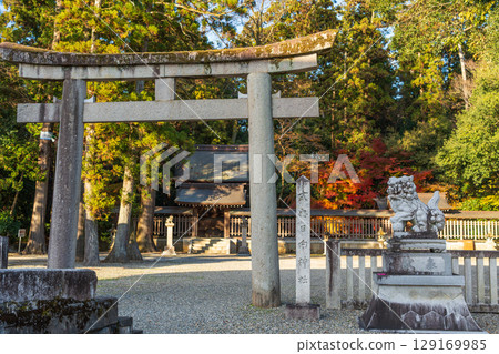 Hyuga Shrine, an ancient shrine listed in the Engishiki and a subsidiary shrine within the grounds of Taga Taisha Shrine. Taga Town, Shiga Prefecture, Japan Hyuga Shrine, an ancient shrine listed in the Engishiki and a subsidiary shrine within the grounds of Taga Taisha Shrine. Taga Town, Shiga Prefecture, Japan 129169985