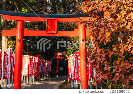 金崎稻荷神社是多賀大社的分社，擁有紅色的鳥居和旗幟。日本滋賀郡多賀町 129169991