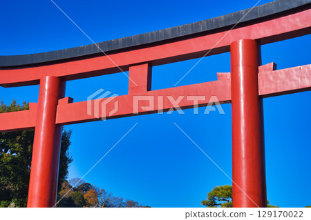 鎌倉鶴岡八幡宮:藍天映襯下閃閃發光的紅色鳥居(神奈川縣鎌倉市) 鎌倉鶴岡八幡宮:藍天映襯下閃閃發光的紅色鳥居(神奈川縣鎌倉市) 129170022