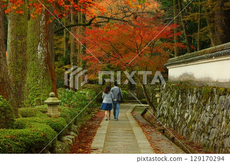雷山千如寺大神院 秋葉 雷山千如寺大神院 秋葉 129170294