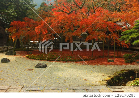 雷山千如寺大神院 秋葉 雷山千如寺大神院 秋葉 129170295