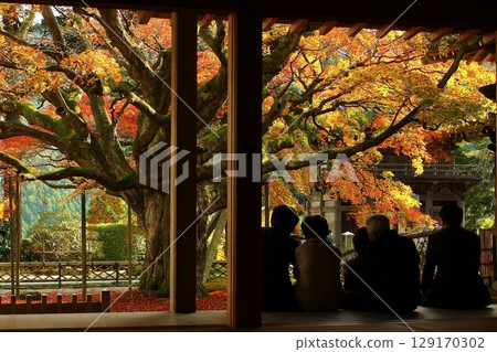 雷山千如寺大神院 秋葉 129170302