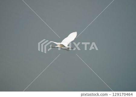 A shrine A shrine 129170464