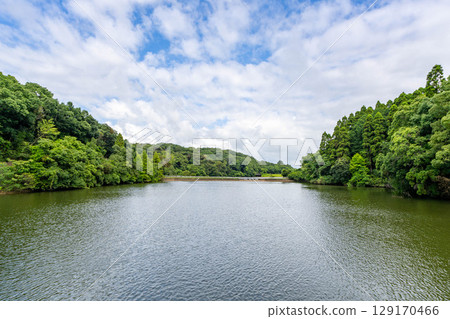 平和台公園的新池 平和台公園的新池 129170466