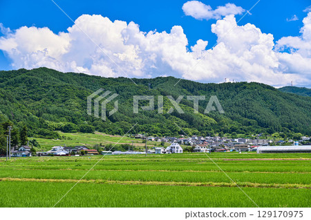 長野町長門站 Marmelo 的田園風光 129170975
