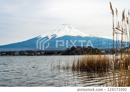 從大石公園看到的富士山 129171092