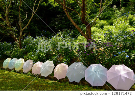 日沼自然公園 2025-6-28 #14 129171472