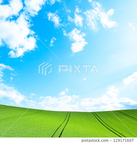 A refreshing summer scene in Hokkaido with wheat fields spreading out 129171607