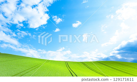 A refreshing summer scene in Hokkaido with wheat fields spreading out A refreshing summer scene in Hokkaido with wheat fields spreading out 129171611