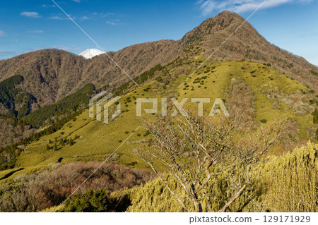 Mount Kintoki and Mount Fuji seen from the Hakone outer rim in winter 129171929