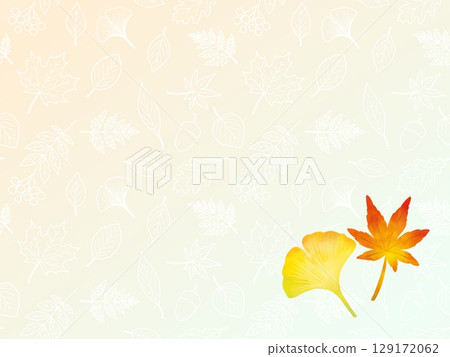 Maple and ginkgo background B-2 129172062