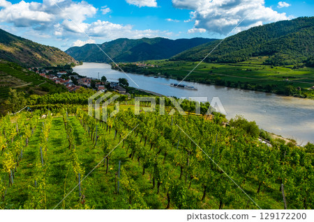 Vineyards and Donau river in Wachau valley Austria with autumn colored leaves, small traditional village and boats on sunny day. Traditional wine and tourism region, 129172200