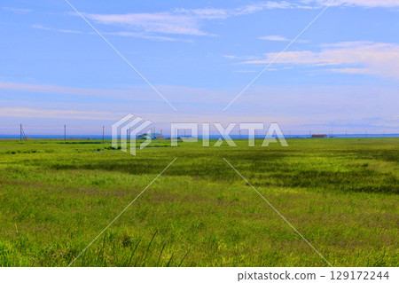 草原、濕地與野付半島（北海道別海町） 129172244