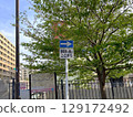 單行道標誌和路邊樹木 129172492
