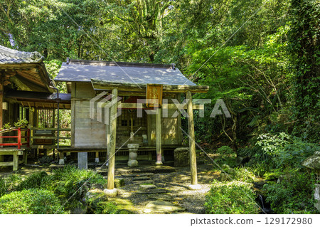 24th of the 88 Shikoku Temples, Saigosakiji Temple, Shotendo Hall, Muroto City, Kochi Prefecture 129172980