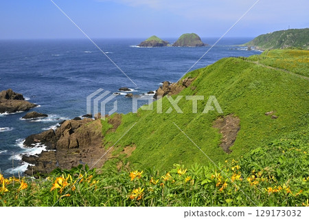 從佐渡島飛島萱草盛開的小野龜眺望二龜 129173032