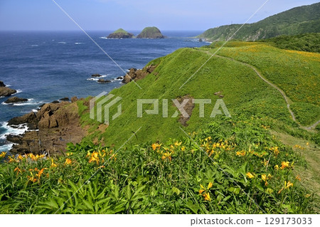 從佐渡島飛島萱草盛開的小野龜眺望二龜 129173033