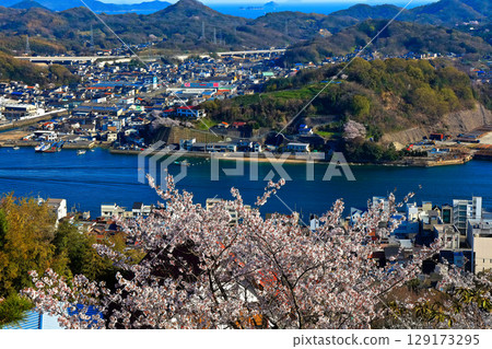 【廣島縣】春天櫻花盛開時從千光寺公園眺望尾道的街道 129173295