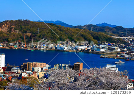 [Hiroshima Prefecture] Onomichi townscape seen from Senkoji Park in spring when cherry blossoms bloom 129173299